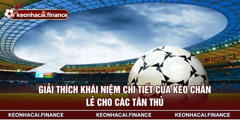 Kèo Chẵn Lẻ - Loại Hình Cược Được Yêu Thích Hàng Đầu 2026 2 Giải thích khái niệm chi tiết của kèo chẵn lẻ cho các tân thủ