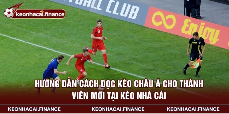 Kèo Châu Á Là Gì? Hướng Dẫn Soi Kèo Hiệu Quả Cho Newbie 3 Hướng dẫn cách đọc kèo châu Á cho thành viên mới tại Kèo Nhà Cái