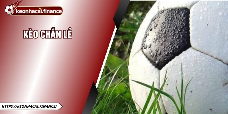 Kèo Chẵn Lẻ - Loại Hình Cược Được Yêu Thích Hàng Đầu 2026 2 Kèo Chẵn Lẻ - Loại Hình Cược Được Yêu Thích Hàng Đầu 2026