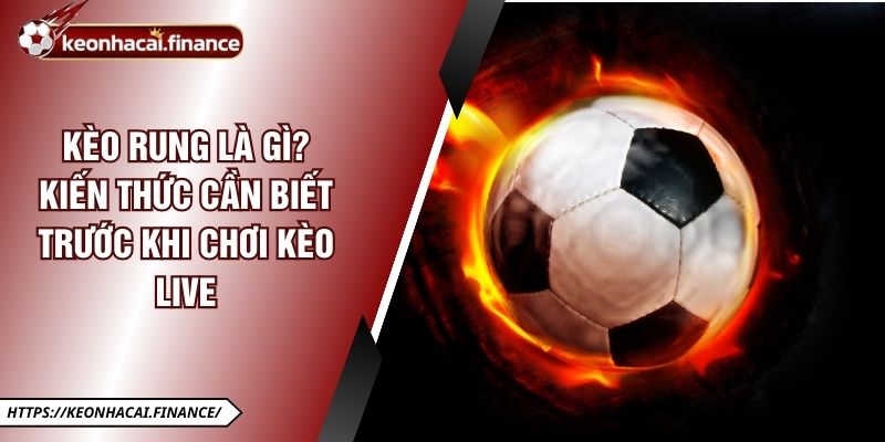Kèo Rung Là Gì? Kiến Thức Cần Biết Trước Khi Chơi Kèo Live 1 Kèo Rung Là Gì? Kiến Thức Cần Biết Trước Khi Chơi Kèo Live