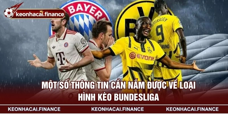Kèo Bundesliga - Cách Phân Tích Chuẩn Chỉ Nhất Từ Cao Thủ 1 Một số thông tin cần nắm được về loại hình kèo Bundesliga