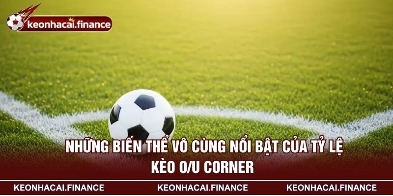 Kèo Tài Xỉu Góc Là Gì - Hướng Dẫn Chi Tiết Cho Tân Thủ 3 Những biến thể vô cùng nổi bật của tỷ lệ kèo O/U corner